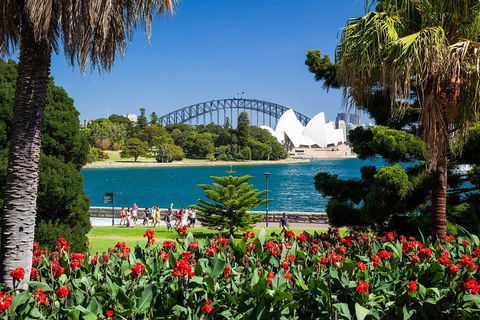 Sydney Luxury Private Shore Excursion | 6 Hr Tour | Departs From Cruise Terminal - Restaurants Sydney 5