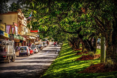 Fully Inclusive Blue Mountains Private Tour inc Scenic World  Featherdale entry