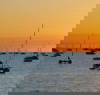 Darwin Shore Excursion Hop-on Hop-off Bus Tour - Restaurants Sydney