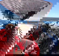 Adventure Rottnest Tour with Ferry  Adventure Cruise from Perth or Fremantle - Restaurants Sydney