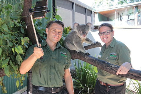 Virtual Interactive Australian Wildlife Tour With Private Guide-Wildlife Habitat - Restaurants Sydney 0