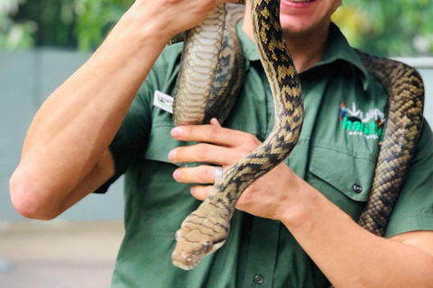 Virtual Interactive Australian Wildlife Tour With Private Guide-Wildlife Habitat - Restaurants Sydney 1