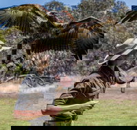 One Day Kangaroo Island Sip  See tour with return ferry transfers from Adelaide - Restaurants Sydney