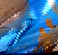 Dive with Sharks at AQWA - Restaurants Sydney