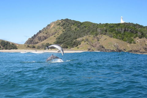 Kayaking With Dolphins In Byron Bay Guided Tour - Restaurants Sydney 0