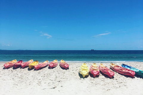 Kayaking With Dolphins In Byron Bay Guided Tour - Restaurants Sydney 1