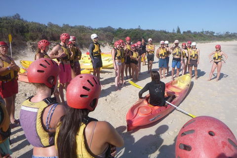 Kayaking With Dolphins In Byron Bay Guided Tour - Restaurants Sydney 2