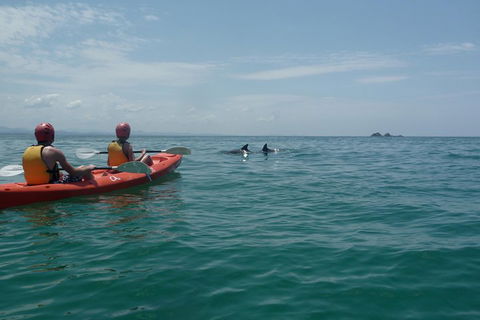 Kayaking With Dolphins In Byron Bay Guided Tour - Restaurants Sydney 4
