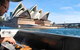 Sydney Whale-Watching Cruise Including Lunch Or Breakfast - thumb 3