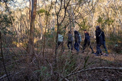 Wild Australian Wildlife 4WD Tour from Sydney