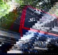 Blue Mountains Hop-on Hop-off Tour with Optional Scenic World Rides - Restaurants Sydney