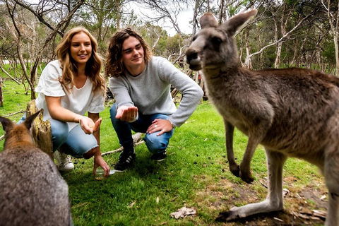 Moonlit Sanctuary Wildlife Conservation Park Daytime General Entry Ticket - Restaurants Sydney 2