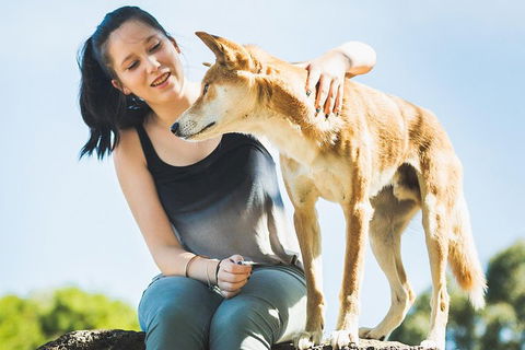 Moonlit Sanctuary Wildlife Conservation Park Daytime General Entry Ticket - Restaurants Sydney 5