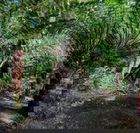 Adelaide to Melbourne 3-Day Trip through Grampians and Great Ocean Road - Restaurants Sydney