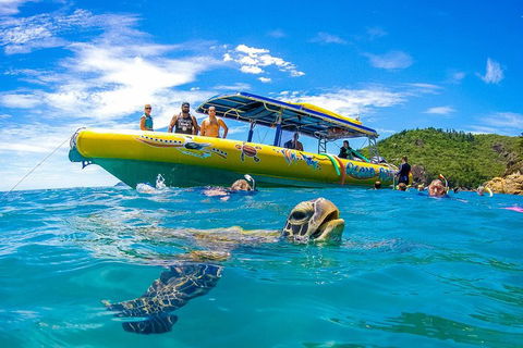 Great Barrier Reef Scenic Flight And Ocean Rafting Whitehaven Beach Day Trip - Restaurants Sydney 1