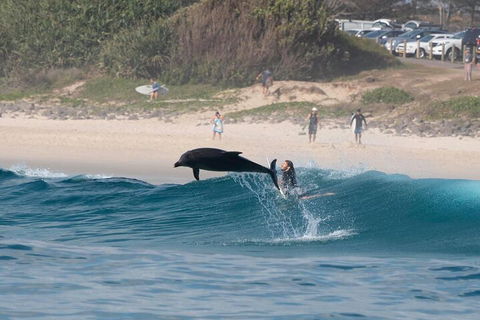 Cruise With Dolphins In Byron Bay - Restaurants Sydney 3