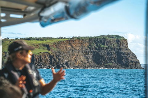 Cruise With Dolphins In Byron Bay - Restaurants Sydney 4