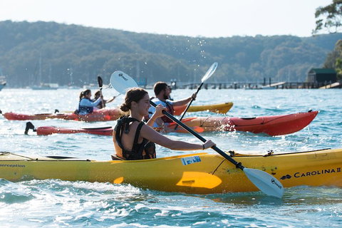 Pittwater Discovery Kayaking Tour - Restaurants Sydney 2