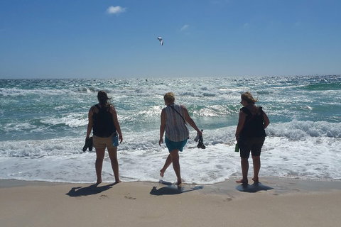 Very Best Of Perth Tour - Wildlife Park & City Highlights Tour - Restaurants Sydney 5