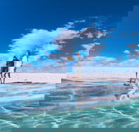 4-Day Coastal Loop via Monkey Mia Wild Dolphins Kalbarri Pinnacles Perth Return - Restaurants Sydney