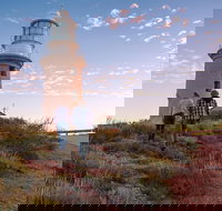 6-Day Coral Coaster from Perth to Exmouth One-Way via Monkey Mia Ningaloo Reef - Restaurants Sydney