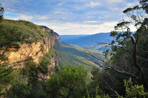 Sunset Blue Mountains Wilderness & Wildlife Tour Without The Crowds - Restaurants Sydney 2