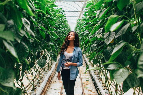 Yarra Valley Local Produce And Wine Tasting Tour - Restaurants Sydney 0