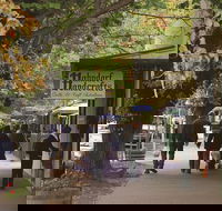 Adelaide Highlights Hahndorf  McLaren Vale Wine Tasting and Sightseeing Tour - Restaurants Sydney