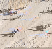 Unlimited Sandboarding - Restaurants Sydney