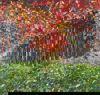 Margaret River Private Tour - Restaurants Sydney