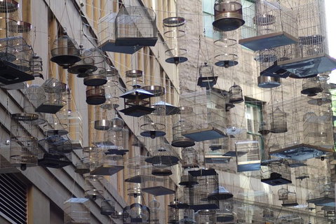 Sydney Scavenger Hunt: Inside Sydney - Restaurants Sydney 0