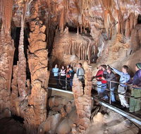 Private Tour Jenolan Caves  Blue Mountains in a day - Restaurants Sydney