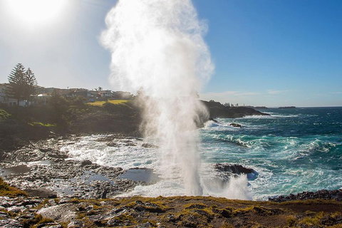 Private Tour: Sydney South Coast & Highlands - Restaurants Sydney 2