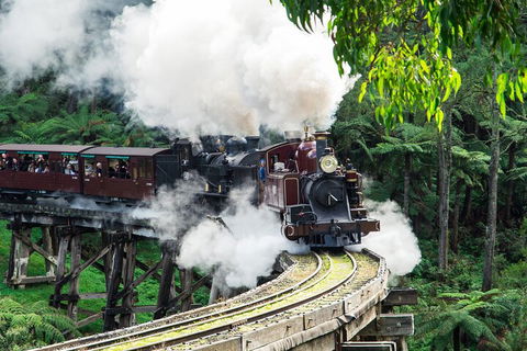 Puffing Billy And Healesville Sanctuary Scenic Tour - Restaurants Sydney 1