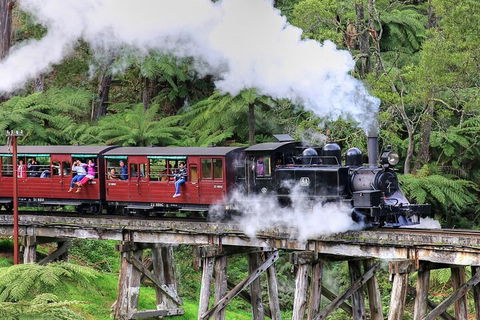 Puffing Billy And Healesville Sanctuary Scenic Tour - Restaurants Sydney 2