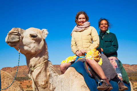 Alice Springs Camel Tour - Restaurants Sydney 3