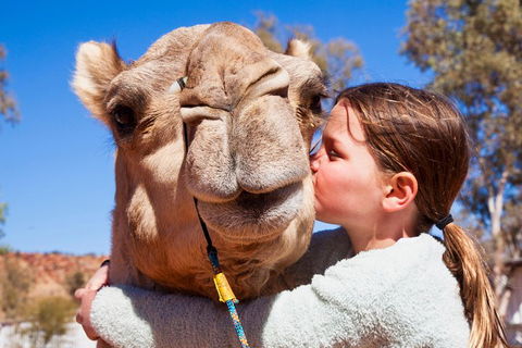 Alice Springs Camel Tour - Restaurants Sydney 5