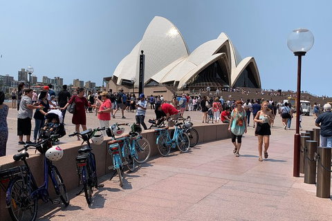 The Big Easy - Restaurants Sydney 4