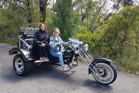 Blue Mountains 1-Hour Trike Tour Of Three Sisters - Restaurants Sydney 1