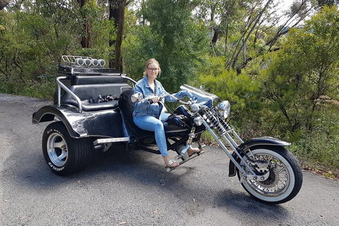 Blue Mountains 1-Hour Trike Tour Of Three Sisters - Restaurants Sydney 4