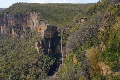 Blue Mountains 1-Hour Trike Tour Of Three Sisters - Restaurants Sydney 5