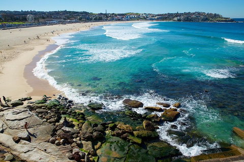 Private Sydney Foreshores And Beaches SUV Tour - Restaurants Sydney 0