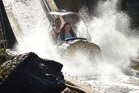 Theme Park Transfer From Brisbane - Restaurants Sydney 1