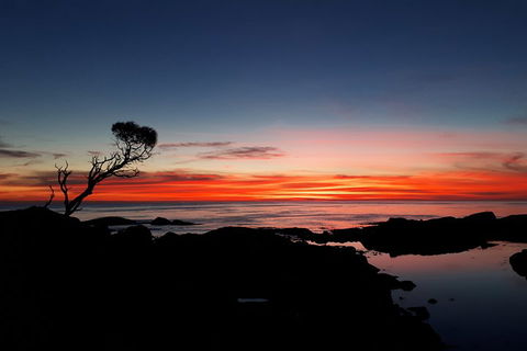 3-Day Bay Of Fires Photography Workshop From Hobart - Restaurants Sydney 1