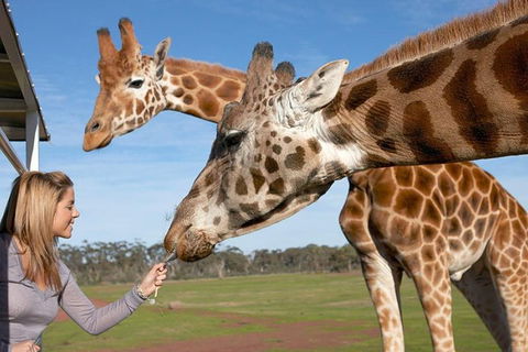 Melbourne City Card (2 Days): Visit Unlimited Attractions! - Restaurants Sydney 1