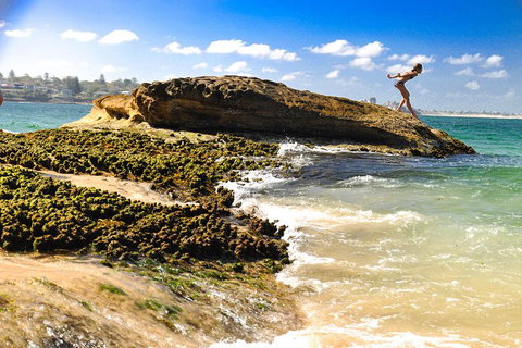 Kiama South Coast Tour With Coastline, Farmlands, Aboriginal Engravings & Lunch - Restaurants Sydney 4