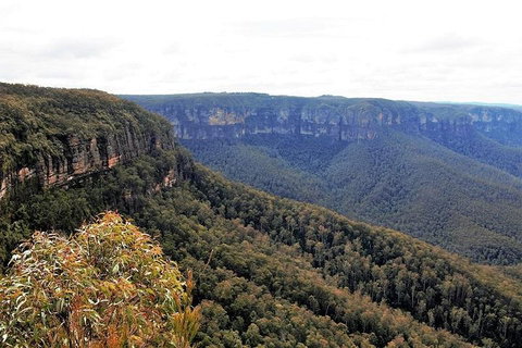Blue Mountains - Restaurants Sydney 3