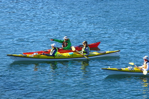 Half-Day Sydney Middle Harbour Guided Kayaking Eco Tour - Restaurants Sydney 0