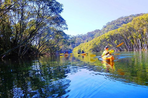 Half-Day Sydney Middle Harbour Guided Kayaking Eco Tour - Restaurants Sydney 1