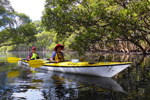Half-Day Sydney Middle Harbour Guided Kayaking Eco Tour - Restaurants Sydney 3